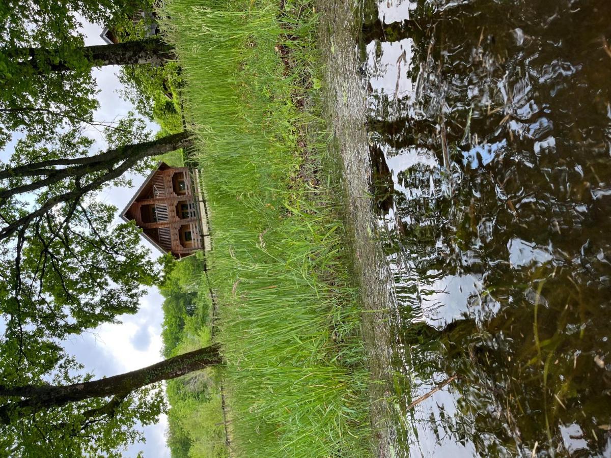 Au Bord Du Lac III Villa Montigny-en-Morvan Exterior photo